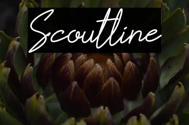 Scoutline Example 3