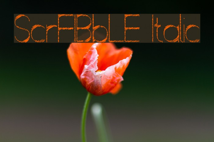 ScrFIBbLE Italic Font examples