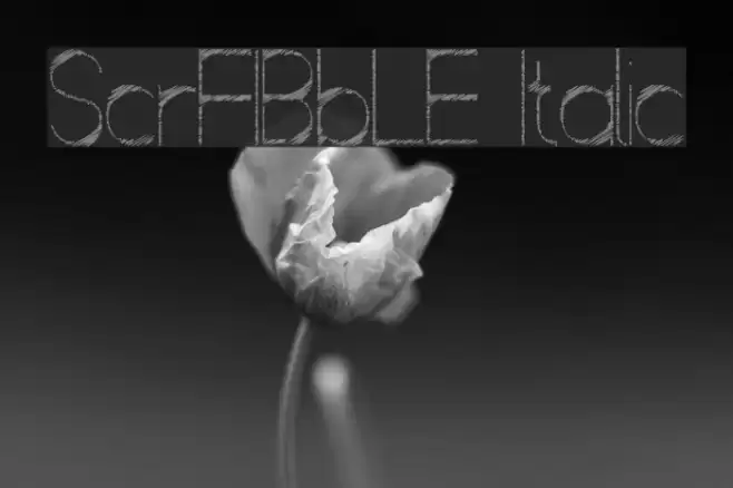 ScrFIBbLE Italic Font examples