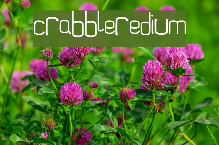 Scrabbler-Medium Font examples