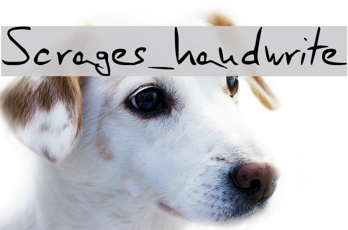 Scrages_handwrite Font examples