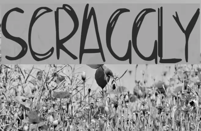 Scraggly Font examples