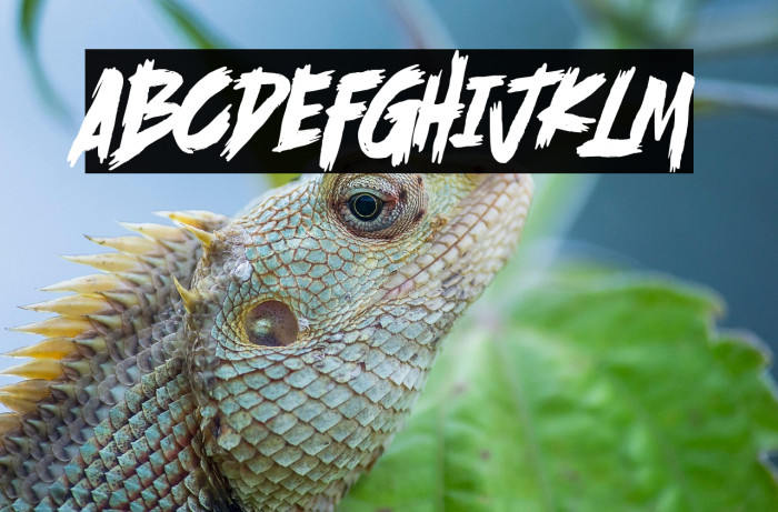 Scramble Storm Example 1