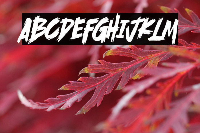 Scramble Storm Example 1