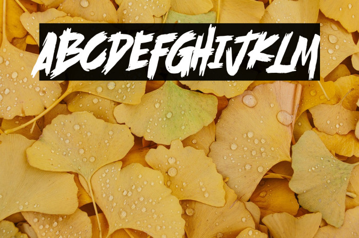 Scramble Storm Example 2