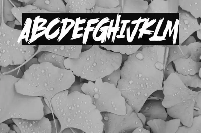 Scramble Storm Font examples