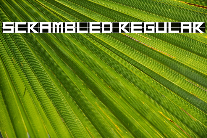 Scrambled Regular Example 3