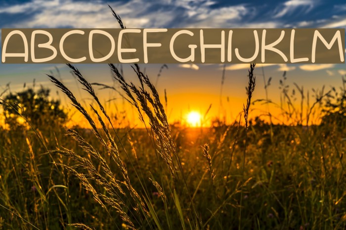 Scrambled Tofu Font examples