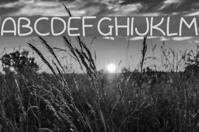 Scrambled Tofu Font examples