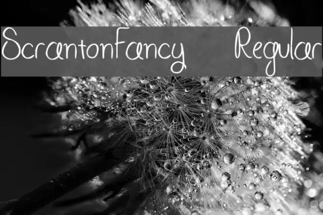 ScrantonFancy-Regular Font examples