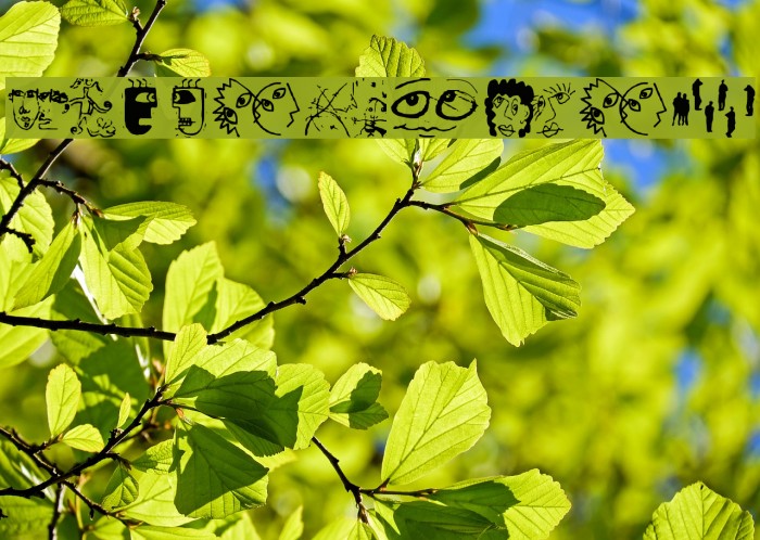ScrapArt Font examples