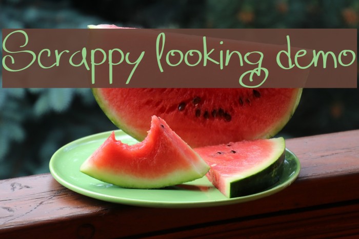 Scrappy looking demo Example 3