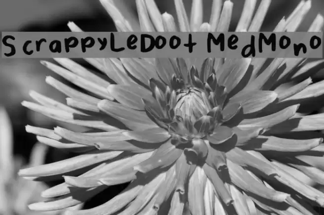 ScrappyLeDoot-MedMono Font examples