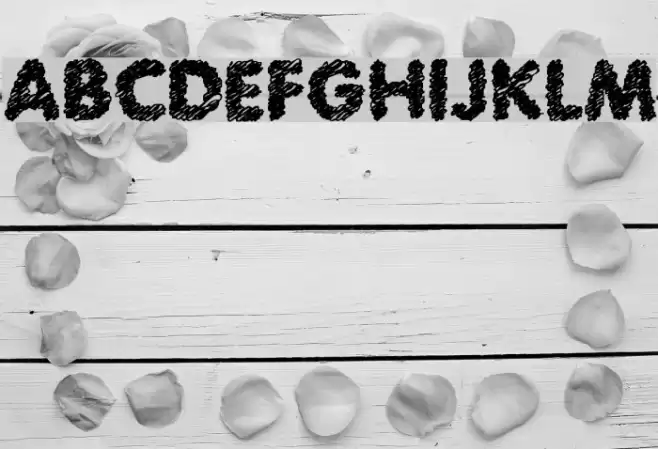 Scratch Bold Шрифта examples