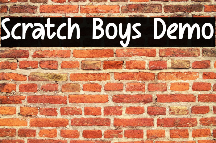 Scratch Boys Demo Example 1