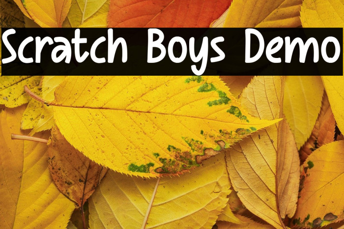 Scratch Boys Demo Example 2