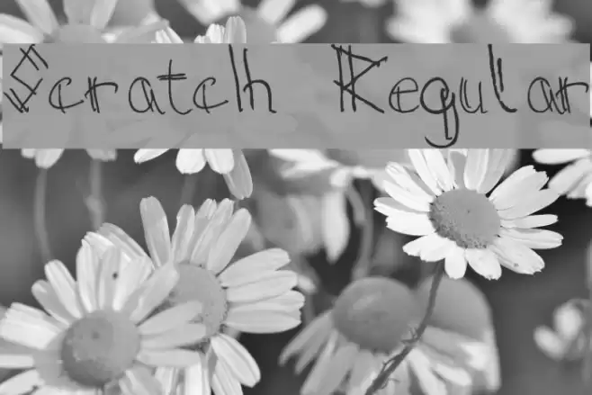 Scratch Regular Font examples