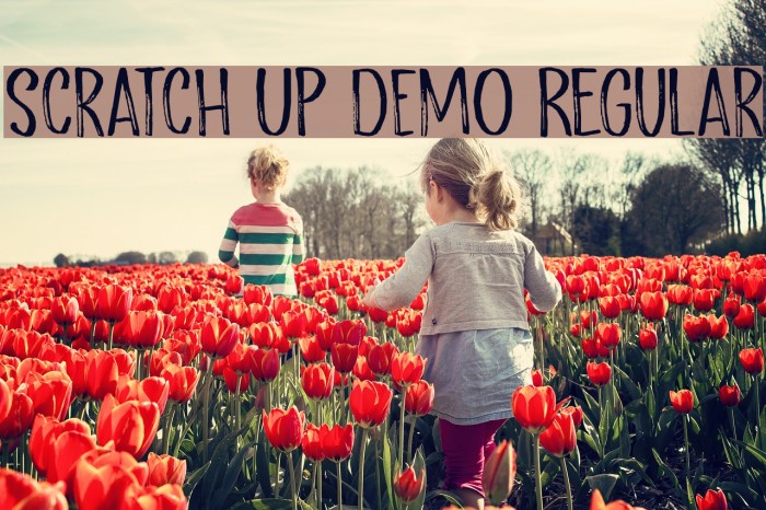 Scratch Up DEMO Regular Font examples