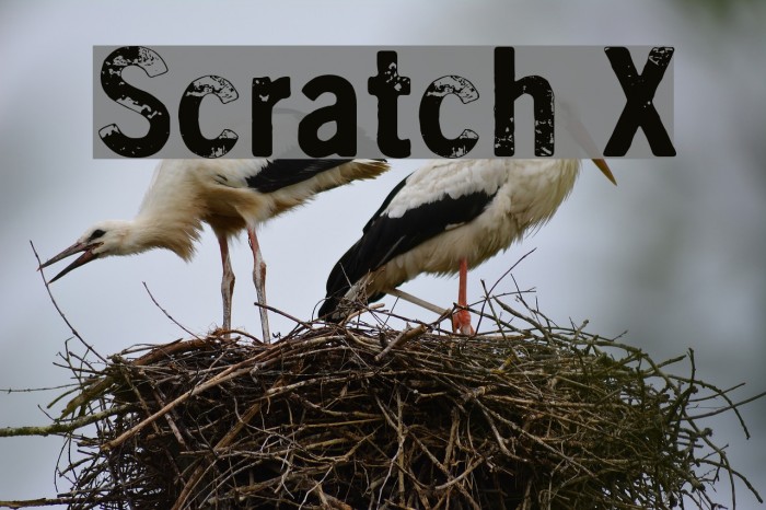 Scratch X Font examples