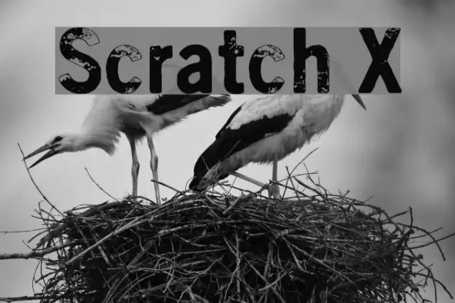 Scratch X Fonte examples
