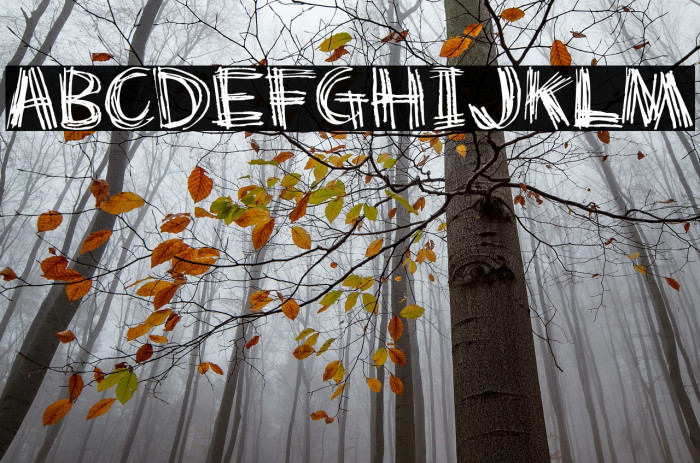 Scratch my back Example 2