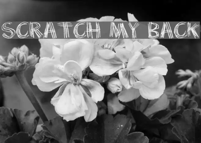 Scratch my back Font examples