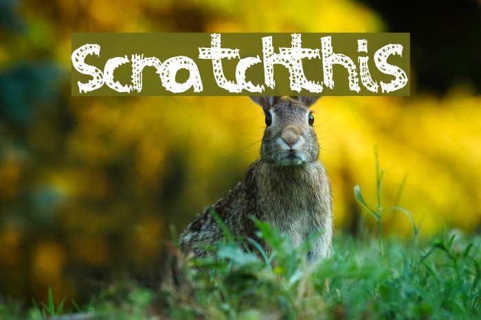 ScratchThis Font examples
