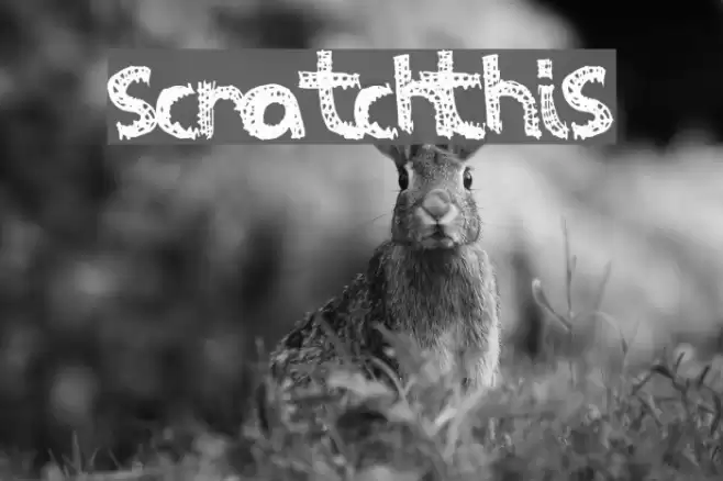 ScratchThis Caratteri examples