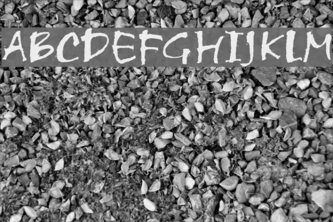 Scratch フォント examples