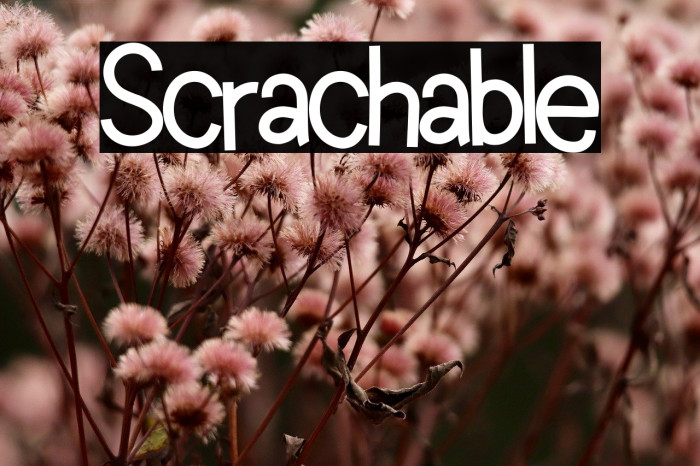 Scratchable Example 2