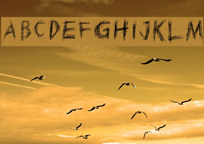 Scratched on X Ray Example 2