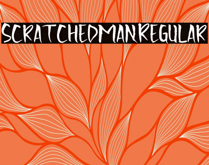 Scratchedman-Regular Example 1