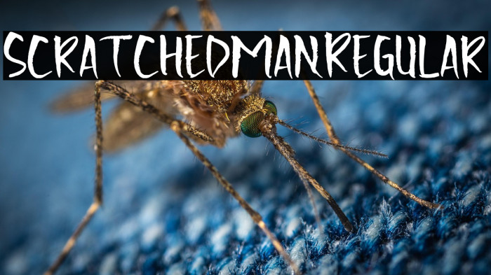 Scratchedman-Regular Example 2