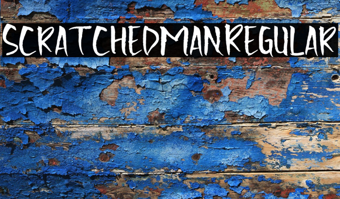 Scratchedman-Regular Example 3