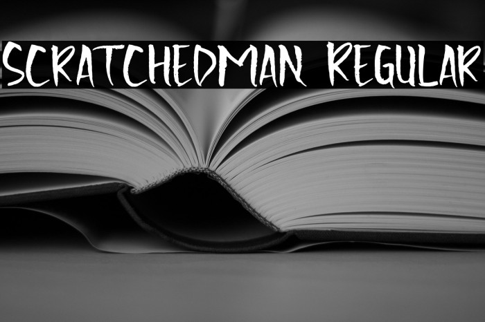 Scratchedman Regular Example 2