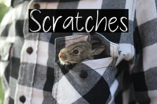 Scratches Example 3