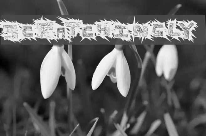 Scratchingly Font examples