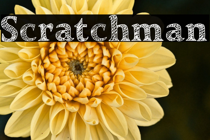 Scratchman Example 1