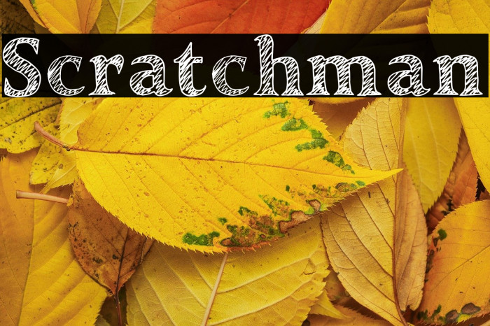 Scratchman Example 2