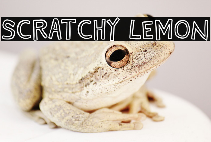Scratchy Lemon Example 1