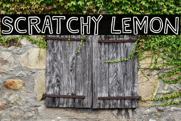 Scratchy Lemon Example 2