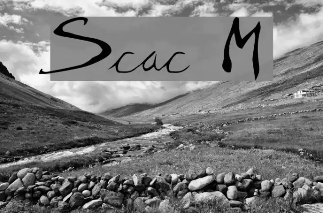 Scratchy Mess Шрифта examples