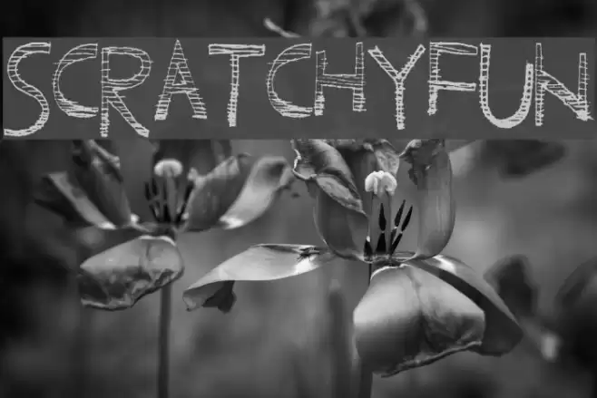 ScratchyFun Font examples