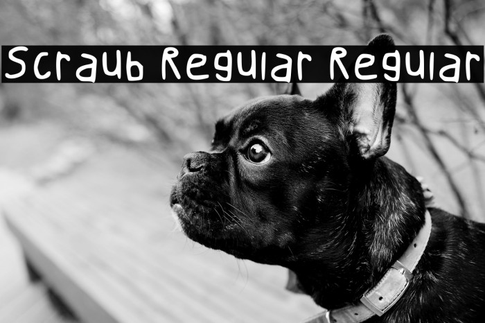 Scraub Regular Regular Example 1