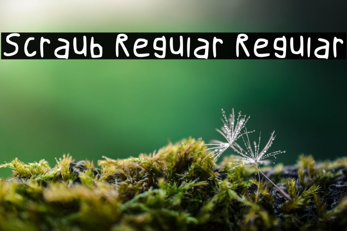 Scraub Regular Regular Example 2