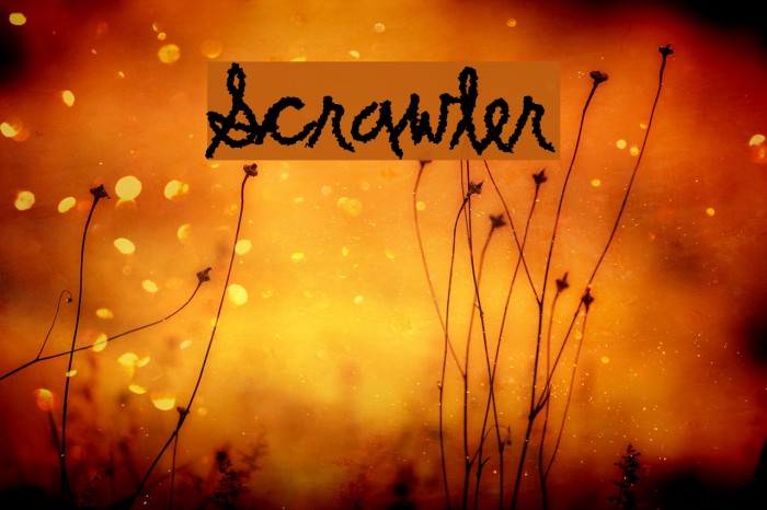 Scrawler Font examples