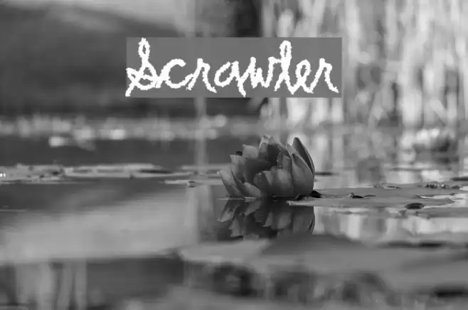 Scrawler Font examples