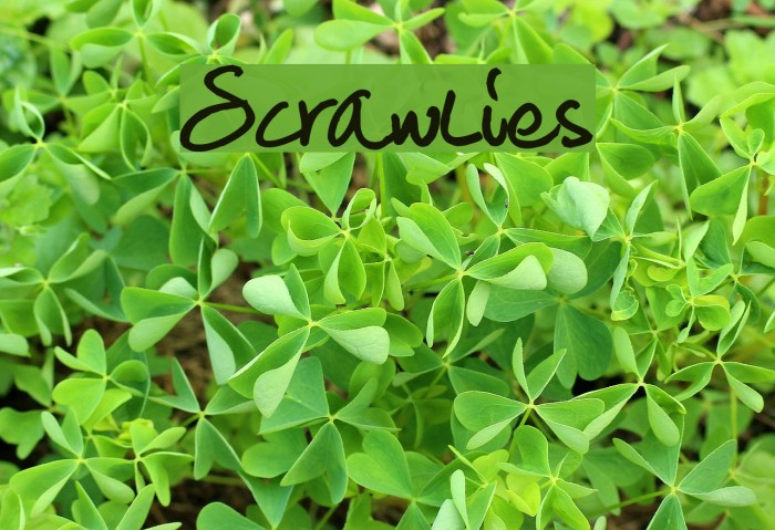 Scrawlies फ़ॉन्ट examples