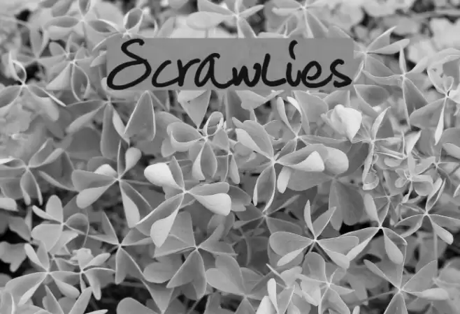 Scrawlies फ़ॉन्ट examples