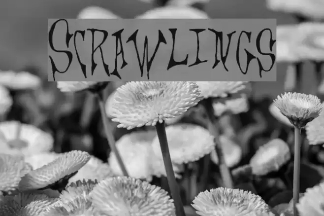 Scrawlings Шрифта examples